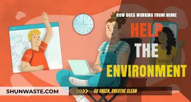 Remote Work Revolution: How Home Offices Benefit Our Planet