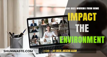 Remote Work's Green Impact: Environmental Benefits and Challenges Explored
