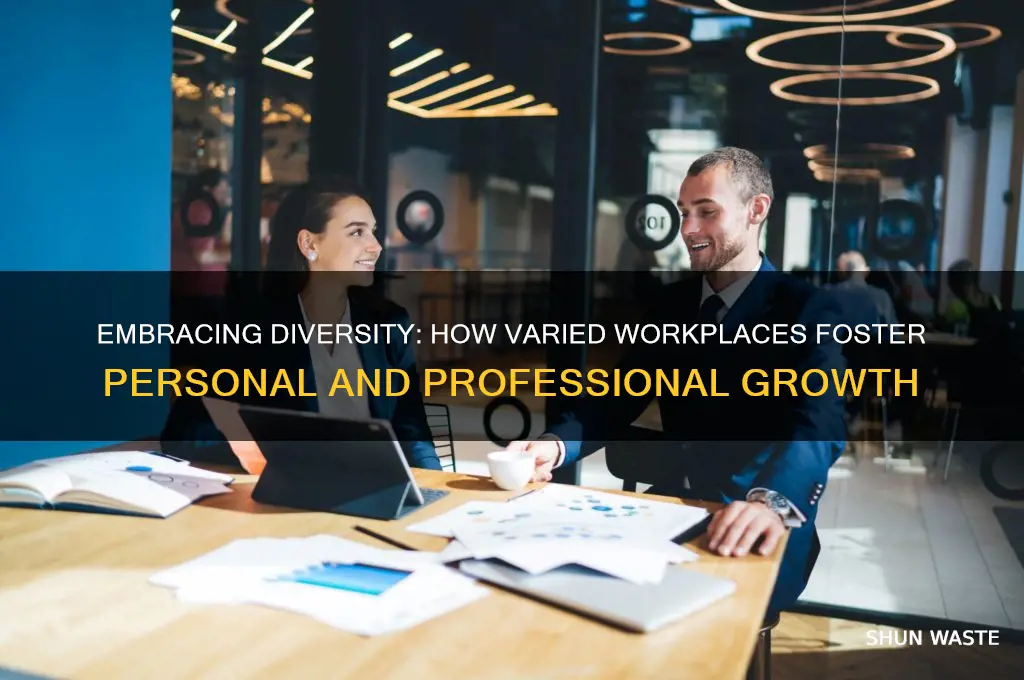 how does working in a diverse environment benefit you