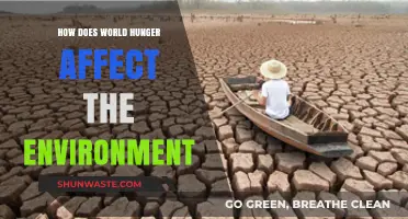 World Hunger's Environmental Impact: A Hidden Crisis Unveiled