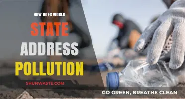 Addressing Pollution: Global Action, Local Impact