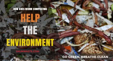 Worm Composting: A Sustainable Solution for Eco-Friendly Waste Management