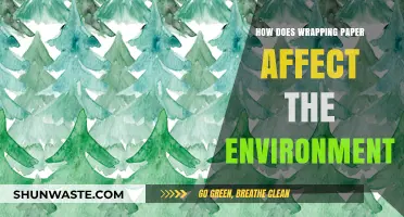 Unwrapping the Environmental Impact of Wrapping Paper: A Sustainable Guide