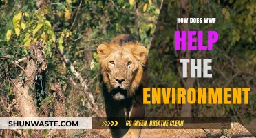 WWF's Impact: Protecting Wildlife, Conserving Nature, and Sustaining Our Planet
