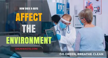 Environmental Impact of X-Rays: Uncovering Hidden Ecological Consequences