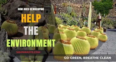 Xeriscaping: Sustainable Landscaping for Water Conservation and Environmental Benefits