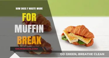 Understanding Muffin Break's Y Waste Program: How It Works