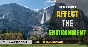 Yosemite's Environmental Impact: Preserving Nature's Balance in a Fragile Ecosystem