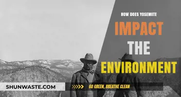 Yosemite's Environmental Impact: Preserving Nature's Balance in a Fragile Ecosystem
