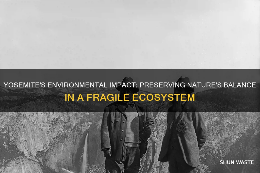 how does yosemite impact the environment