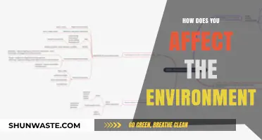 Your Daily Choices: How You Impact the Environment Every Day