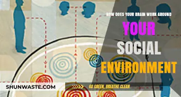 How Your Brain Adapts and Navigates Social Environments: Insights