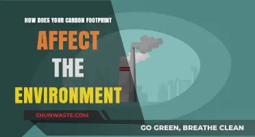 Your Carbon Footprint's Impact: Uncovering Environmental Consequences and Solutions