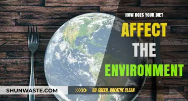 Sustainable Eating: How Your Diet Impacts the Environment