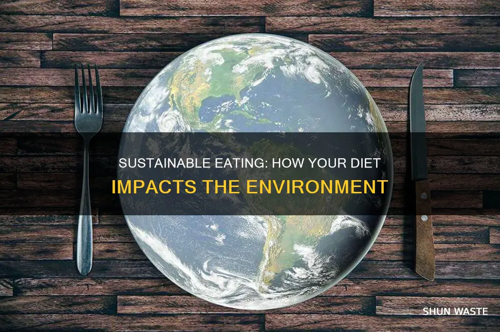 how does your diet affect the environment