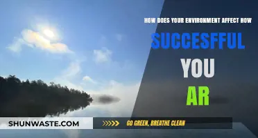 Surroundings Shape Success: How Your Environment Influences Achievement