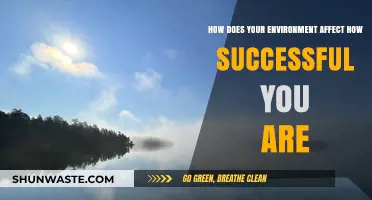 Surroundings Shape Success: How Your Environment Influences Achievement
