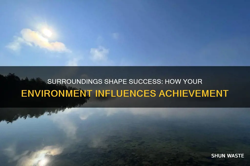 how does your environment affect how successful you are