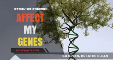 How Your Surroundings Shape Your Genes: Unlocking Epigenetic Secrets