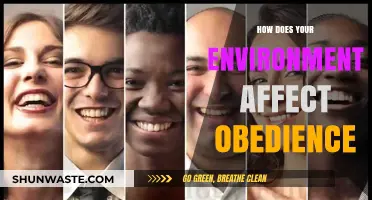 Environmental Influences on Obedience: Uncovering the Hidden Behavioral Triggers