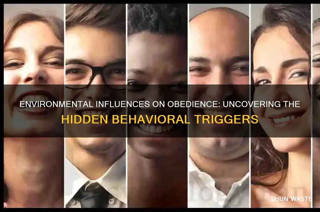 how does your environment affect obedience