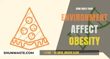 Environmental Factors and Obesity: Uncovering the Hidden Links to Weight Gain