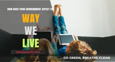 Environment's Impact: Shaping Lifestyles, Choices, and Daily Living Habits