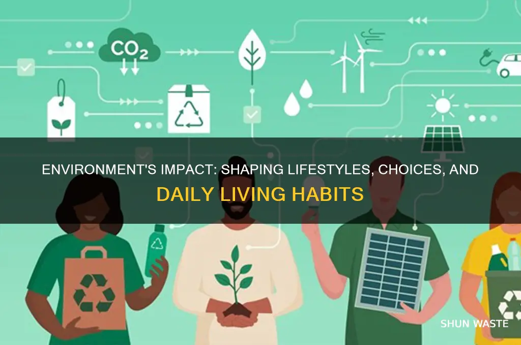 how does your environment affect the way we live