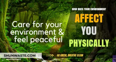 How Your Surroundings Shape Your Physical Health and Well-Being