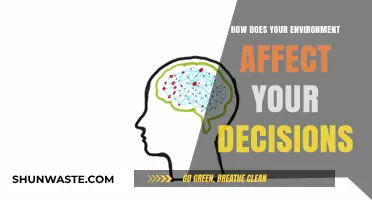 Surroundings Shape Choices: How Your Environment Influences Decision-Making