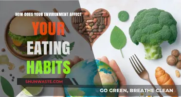 Surroundings Shape Appetite: How Environment Influences Your Eating Habits