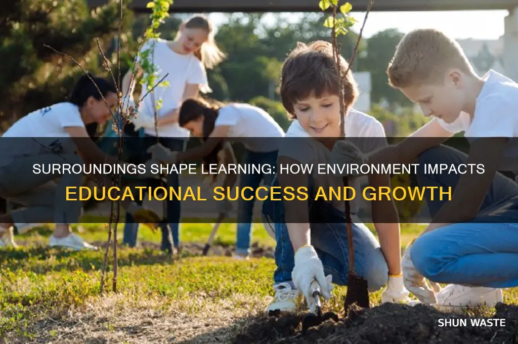 how does your environment affect your education