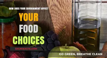 Surroundings Shape Diets: How Environment Influences Your Food Choices
