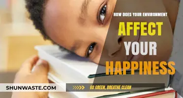 Surroundings Shape Joy: How Your Environment Impacts Daily Happiness