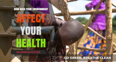 Surroundings Matter: How Your Environment Shapes Health and Well-Being