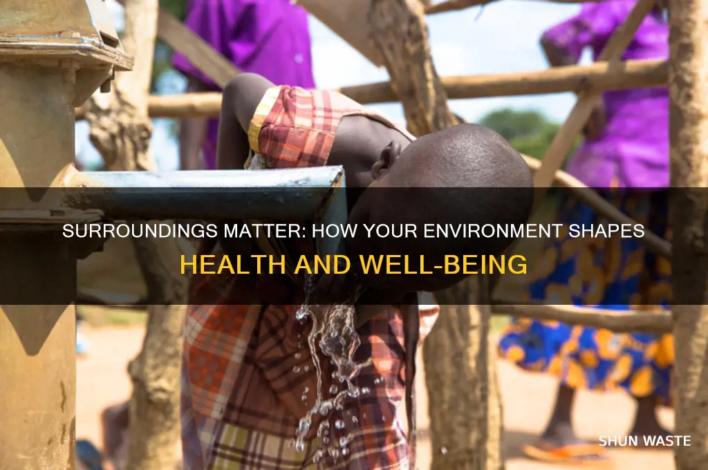 how does your environment affect your health