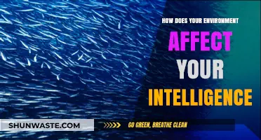 Environment's Impact: Shaping Intelligence Through Surroundings and Stimuli