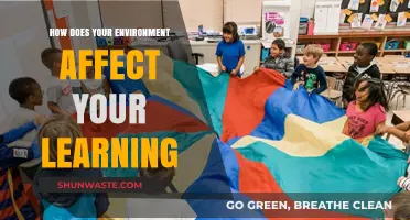 Environment's Impact: Shaping Learning Outcomes and Cognitive Development Effectively