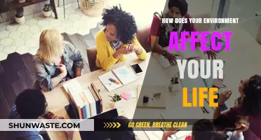 Surroundings Shape Success: How Your Environment Influences Your Life