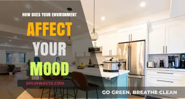 Surroundings and Emotions: How Your Environment Shapes Your Mood