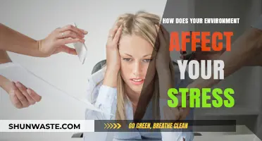 Surroundings and Stress: How Your Environment Shapes Your Mental Health
