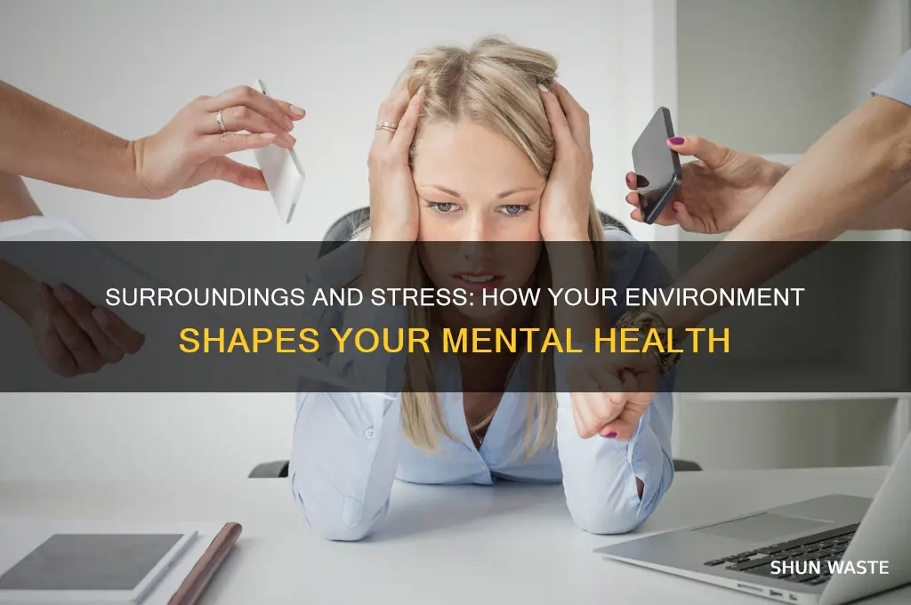 how does your environment affect your stress