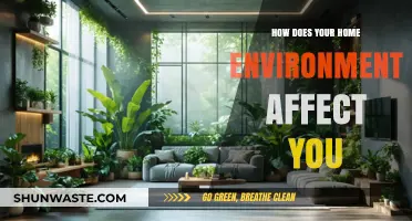 Your Home, Your Mind: How Environment Shapes Well-Being and Habits