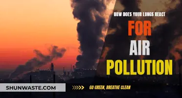 Air Pollution: Damaging Our Lungs, Hurting Our Health