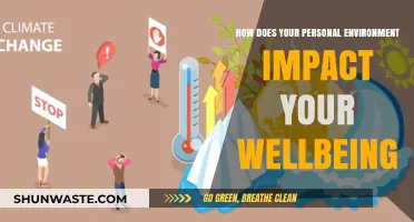 Surroundings Shape Wellness: How Your Environment Influences Wellbeing