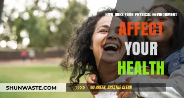 Surroundings Matter: How Your Physical Environment Shapes Your Health and Well-being