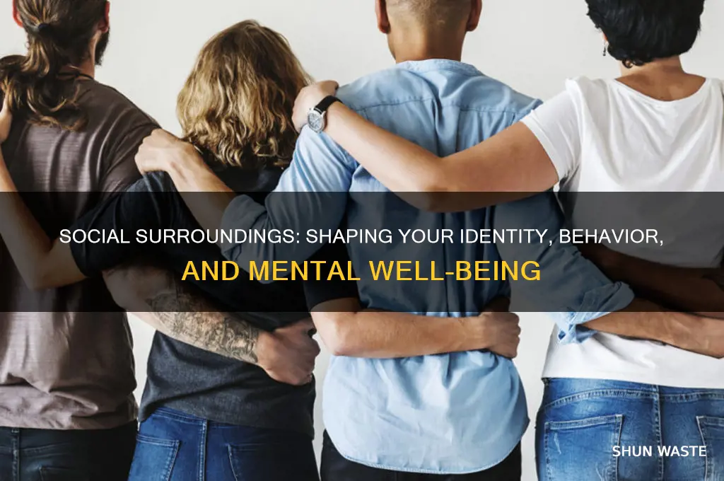how does your social environment affect you