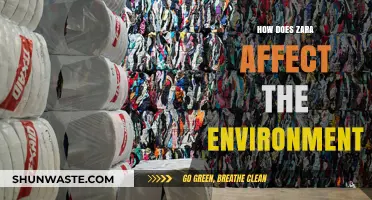 Zara's Environmental Impact: Fast Fashion's Footprint and Sustainability Challenges