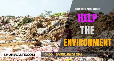 Zero Waste Living: Transforming Habits to Protect Our Planet Effectively