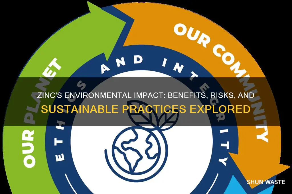 how does zinc affect the environment